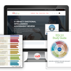 Emotional Intelligence Assessment & Coaching
