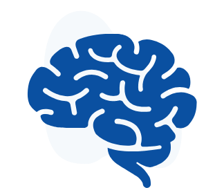 brain